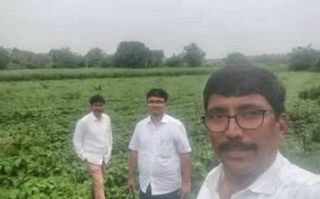 ತಾಳೆ ಬೆಳೆಗಾರರಾದ ರಾಜಕುಮಾರ್ ಕೋಟೆ ಯವರ ಹೋಸ ತಾಳೆ ತಳಿ ಬೆಳೆಗಳ ವಿಕ್ಷಣೆ ಹೋಸ ತಾಳೆ ಬೆಳೆ ಬೆಳೆಯಿಂದ ಅಧಿಕ ಲಾಭ*ಕೃಷಿ ಶ್ರೀ ಪುರಸ್ಕೃತ ರೈತ ಪ್ರೊ ಯಶವಂತರಾಯ ಅಷ್ಠಗಿ ಅಭಿಮತ