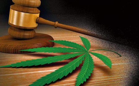 ಕಲ್ಯಾಣ ಕರ್ನಾಟಕದಲ್ಲಿ ಮಾದಕ ವಸ್ತುಗಳಿಗೆ ಕಡಿವಾಣ ಯಾವಾಗ..?