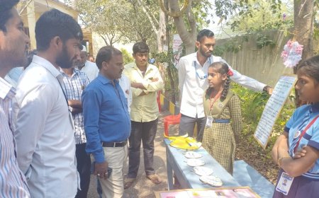 ಒಂದು ಅವಕಾಶ ಹಲವು ಅದ್ಬುತಗಳ ಸೃಷ್ಟಿ