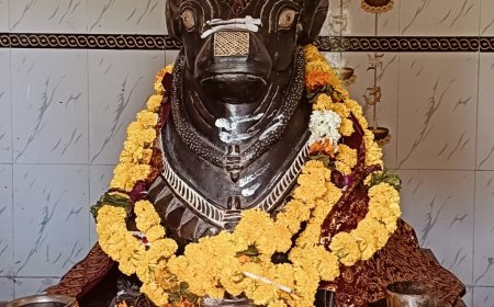 ರಾವೂರನಲ್ಲಿ ಬಸವಣ್ಣನ ಪಲ್ಲಕ್ಕಿ ಉತ್ಸವ : ಡಾ. ಗುಂಡಣ್ಣ ಬಾಳಿ