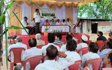 ತಾಳೆ ಕೃಷಿಯಿಂದ ರೈತರ ಆದಾಯ ದ್ವಿಗುಣ ಅಡಿಕೆ ಬೆಳೆಗೆ ಪರ್ಯಾಯ: ಡಾ ಪಿ ಎಂ ಸೊಬರದ