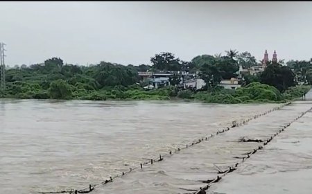 ಭಾರಿ ಮಳೆಗೆ ತುಂಬಿ ಹರಿಯುತ್ತಿರುವ ಕಾಗಿಣಾ ನದಿ-ಸಂಚಾರ ಅಸ್ತವ್ಯಸ್ತ