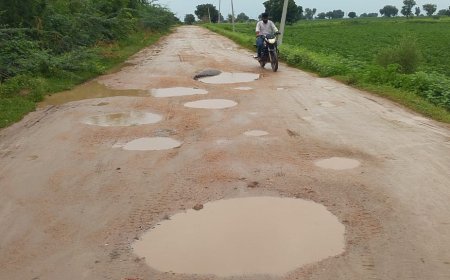 ಬೀರನೂರ - ಮದರಕಲ್ ರಸ್ತೆ ದುರಸ್ತಿಗೆ ನಿಂಗಣ್ಣ ಕರಡಿ ಆಗ್ರಹ