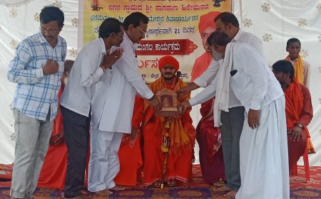 ನಾಗಠಾಣಮಠ ಶ್ರೀಗಳ ಕಾರ್ಯ ಶ್ಲಾಘನೀಯ - ನಾಗನಗೌಡ ಸುಬೇದಾರ