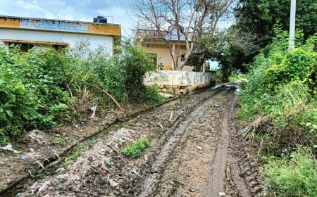 ಹೊಲಸು ನಾರುತ್ತಿರುವ ಬೊಮ್ರಾಲ್ ದೊಡ್ಡಿ ಶಾಲಾ ರಸ್ತೆ'