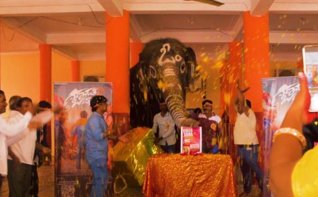 ಭಾರತದಲ್ಲಿ ಮೊದಲ ಬಾರಿಗೆ ಆನೆಯಿಂದ ಧ್ವನಿ ಸುರಳಿ ಬಿಡುಗಡೆ