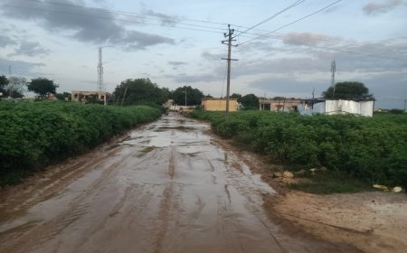 ಗದ್ದೆಯಂತಾದ ಕಡೇಚೂರು ಈದ್ಗಾ  ಕಂಪನಿ ರಸ್ತೆ - ವಿಜಯಕುಮಾರ ಕಂಬೋಲ್