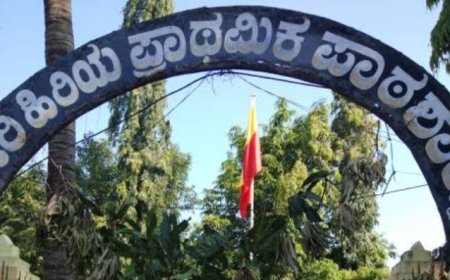 ಪ್ರಾಥಮಿಕ ಶಾಲಾ ಶಿಕ್ಷಕರ ನೇಮಕಾತಿಗೆ ಬಿಎಡ್‌ ಕಡ್ಡಾಯವಲ್ಲ : ಸರ್ವೋಚ್ಚ ನ್ಯಾಯಾಲಯ ಮಹತ್ವದ ಆದೇಶ