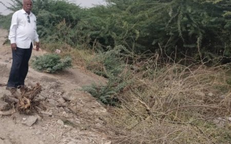 ಸಗರ ಶಂಕರನಾರಾಯಣ ಕೆರೆ ನಾಲಾ ಸ್ವಚ್ಛಗೊಳಿಸಲು - ರೈತರ ಆಗ್ರಹ.