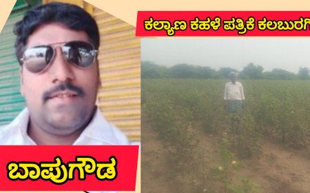 ಅನಾವೃಷ್ಟಿಯಿಂದ ಹಾಳಾಗಿ ಹೋದ ಹತ್ತಿಬೆಳೆ ಕೂಡಲೇ ಜಿಲ್ಲಾಡಳಿತದ ವತಿಯಿಂದ ಪರಿಹಾರ ಧನ ವಿತರಿಸುವಂತೆ ಬಾಪು ಗೌಡ ಕೊಡಮನಹಳ್ಳಿ ಆಗ್ರಹ