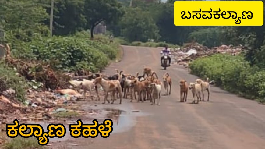 ಬಸವಕಲ್ಯಾಣ : ಬೀದಿ ನಾಯಿಗಳ ಹಾವಳಿ ತಪ್ಪಿಸಿ           ‌