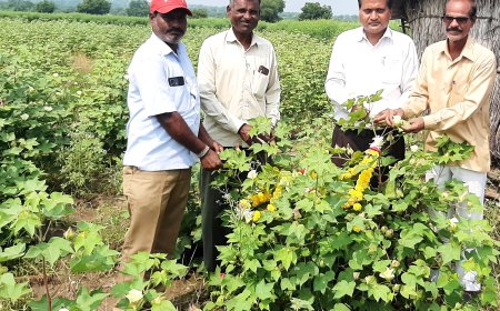 ವಿಶ್ವ ಹತ್ತಿ ದಿನಾಚರಣೆಯಲ್ಲಿ ಅರ್ಥಶಾಸ್ತ್ರ ಉಪನ್ಯಾಸಕ ಎಚ್.ಬಿ.ಪಾಟೀಲ ಅಭಿಪ್ರಾಯ ಆರ್ಥಿಕ ಅಭಿವೃದ್ಧಿಯಲ್ಲಿ ಹತ್ತಿಯ ಕೊಡುಗೆ ಅನನ್ಯ