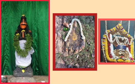 ಹನುಮಗಿರಿ ಕ್ಷೇತ್ರದ ವಿಶೇಷ ಕಾತೀಕ ದೀಪೋತ್ಸವ