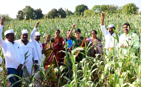 ಎಳ್ಳಮಾವಾಸ್ಯೆ ಹಬ್ಬವನ್ನು ಅದ್ದೂರಿಯಾಗಿ ಆಚರಣೆ