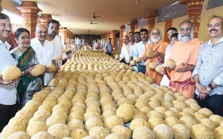 ಜನವರಿ ೧ ಹೊಸ ವರ್ಷದಂದು ಮೈಸೂರು ವಿಜಯನಗರದ