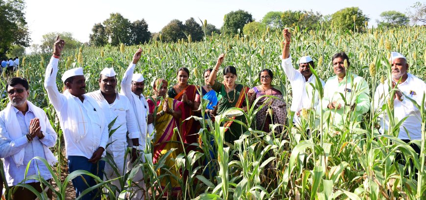 ಎಳ್ಳಮಾವಾಸ್ಯೆ ಹಬ್ಬವನ್ನು ಅದ್ದೂರಿಯಾಗಿ ಆಚರಣೆ