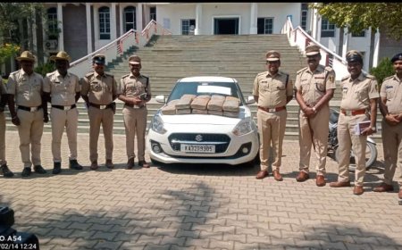 ಕಲಬುರಗಿ ಜಿಲ್ಲಾ ಪೊಲೀಸರಿಂದ ಕ್ಷಿಪ್ರ ಕಾರ್ಯಾಚರಣೆ ಕಾಳಗಿಯಲ್ಲಿ ಅಕ್ರಮ ಗಾಂಜಾ ವಶ