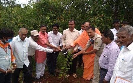 ಸಂಗಮೇಶ ಎನ್ ಜವಾದಿ ರವರ ಪರಿಸರ  ಸಂರಕ್ಷಣೆ ಕಾರ್ಯ ಅನನ್ಯ