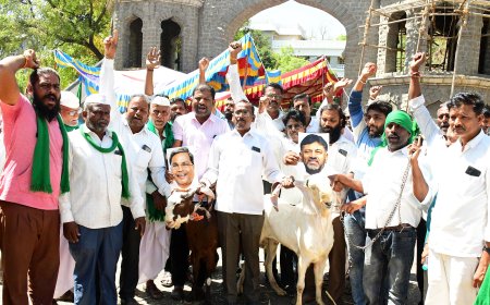 ತೋಗರಿ ಬೆಳೆಗಾರ ರೈತರು ಕುರಿಗಳಲ್ಲ: ರೈತರ ಹಿತ ಕಾಪಾಡುವಲ್ಲಿ ವಿಫಲಾಗಿರುವ ಕಲ್ಯಾಣ ಕರ್ನಾಟಕದ ಸಚಿವರು ಸರ್ಕಾರದಲ್ಲಿ ಕುರಿಗಳು: ದೇವಿಂದ್ರ ದೇಸಾಯಿ ಕಲ್ಲೂರ ಆಕ್ರೋಶ