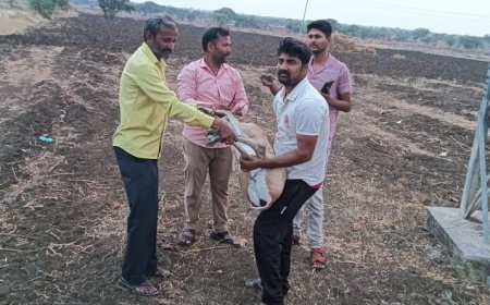 ರಸ್ತೆ ಅಪಘಾತದಲ್ಲಿ ಜಿಂಕೆ ಗಾಯ:ಡಾ. ಅಚ್ಚುತ ಅವರಿಂದ ಪ್ರಥಮ ಚಿಕಿತ್ಸೆ