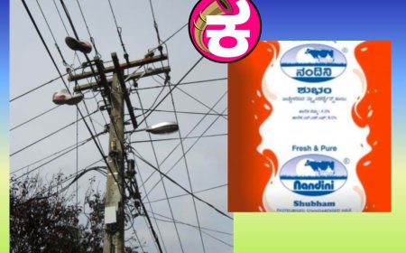 ವಿದ್ಯುತ್ ಮತ್ತು ಹಾಲಿನ ದರ ಏರಿಕೆಯಿಂದ ಗ್ರಾಹಕರಿಗೆ ಆರ್ಥಿಕ ಹೊರೆ
