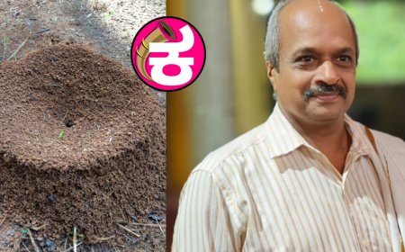 ರೈತ ಮಿತ್ರ ಇರುವೆಗಳು ಮಾಡುತ್ತವೆ ಸುಂದರ ಬಾವಿ (ಜಲ ಮರುಪೂರಣ.....!)