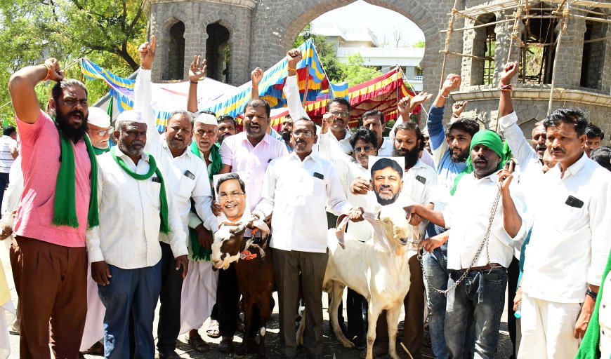 ತೋಗರಿ ಬೆಳೆಗಾರ ರೈತರು ಕುರಿಗಳಲ್ಲ: ರೈತರ ಹಿತ ಕಾಪಾಡುವಲ್ಲಿ ವಿಫಲಾಗಿರುವ ಕಲ್ಯಾಣ ಕರ್ನಾಟಕದ ಸಚಿವರು ಸರ್ಕಾರದಲ್ಲಿ ಕುರಿಗಳು: ದೇವಿಂದ್ರ ದೇಸಾಯಿ ಕಲ್ಲೂರ ಆಕ್ರೋಶ