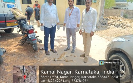 ಹೊಲದಲ್ಲಿ ಜಿಂಕೆ ಸಾವು ಅರಣ್ಯ ಅಧಿಕಾರಗಳಿಗೆ ಹಸ್ತಾಂತರ