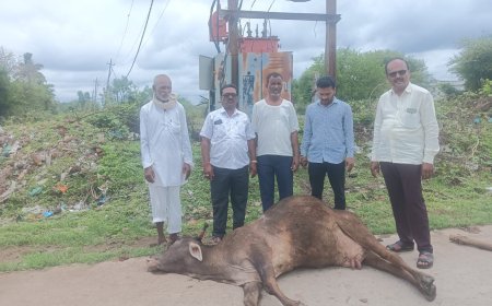 ಆಳಂದ್ನಲ್ಲಿ ವಿದ್ಯುತ್ ಟ್ರಾನ್ಸ್ಫಾರ್ಮರ್ ತಗಲಿ ಆಕಳು ಸಾವು