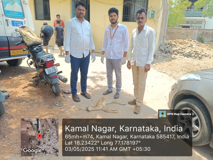 ಹೊಲದಲ್ಲಿ ಜಿಂಕೆ ಸಾವು ಅರಣ್ಯ ಅಧಿಕಾರಗಳಿಗೆ ಹಸ್ತಾಂತರ