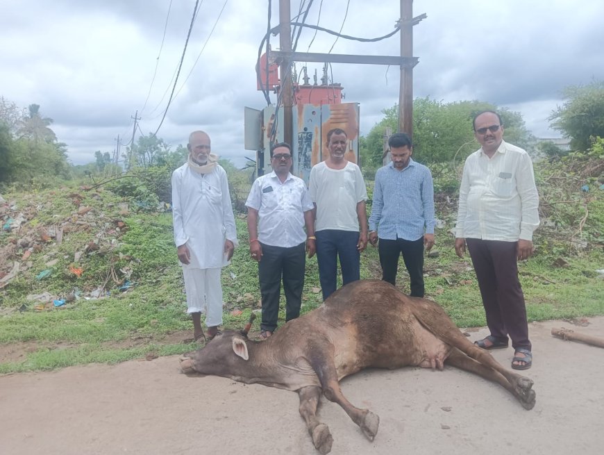 ಆಳಂದ್‌ನಲ್ಲಿ ವಿದ್ಯುತ್ ಟ್ರಾನ್ಸ್‌ಫಾರ್ಮರ್ ತಗಲಿ ಆಕಳು ಸಾವು