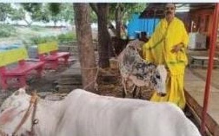 ಶಹಾಬಾದನಲ್ಲಿ ಗೋ ಶಾಲೆ ಪ್ರಾರಂಭ