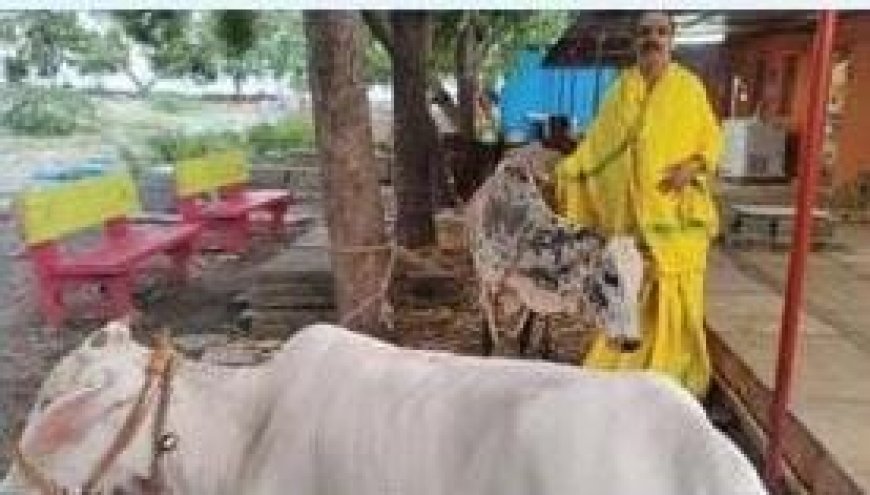 ಶಹಾಬಾದನಲ್ಲಿ ಗೋ ಶಾಲೆ ಪ್ರಾರಂಭ