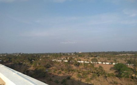 ಭೂ ಹಕ್ಕಿಗಾಗಿ ಹೋರಾಟ: ದೇವನಹಳ್ಳಿ ರೈತರು ನಡೆಸುತ್ತಿರುವ ಧೈರ್ಯದ ಕಥೆ