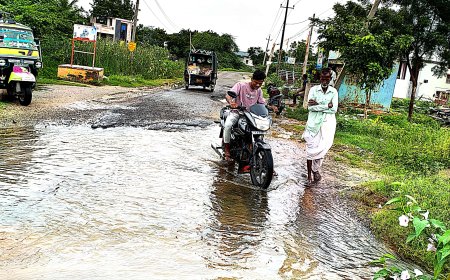 ಬೆನಕನಹಳ್ಳಿ - ಕನ್ಯಾಕೊಳ್ಳೂರು ರಸ್ತೆಗೆ ಸೇತುವೆ ನಿರ್ಮಿಸಿ.