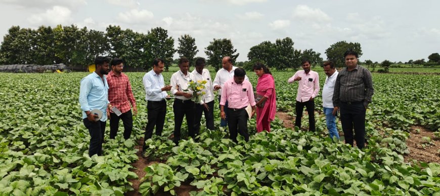 ಹೆಸರು ಹಳದಿ ಎಲೆ ವೈರಸ್ ರೋಗ ಹತೋಟಿ ಸಲಹೆ