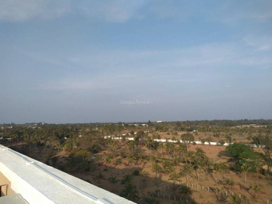 ಭೂ ಹಕ್ಕಿಗಾಗಿ ಹೋರಾಟ: ದೇವನಹಳ್ಳಿ ರೈತರು ನಡೆಸುತ್ತಿರುವ ಧೈರ್ಯದ ಕಥೆ