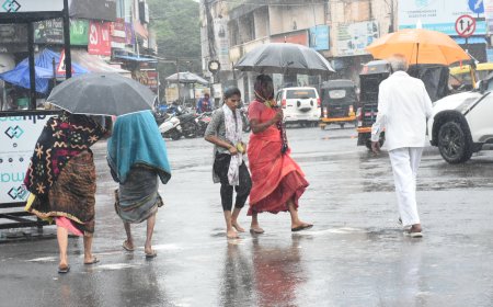 ನಿರಂತರ ಮಳೆಗೆ “ಕೊಡೆ”ಯಾಸರೆ