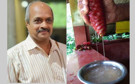 (ಪ್ರಕೃತಿ) ಸಸ್ಯ ಶ್ಯಾಮಲೆ     ಬಿಟ್ಟರ್ ಜಿಂಜರ್ ಶ್ಯಾಂಪು..!