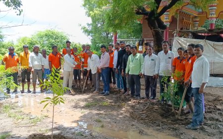 ಬೀಳವಾರ ಗ್ರಾಮದಲ್ಲಿ ಶ್ರೀ ಕ್ಷೇತ್ರ ಧರ್ಮಸ್ಥಳ ಸಂಘಟನೆ ವತಿಯಿಂದ  ಸಾಮಾಜಿಕ ಅರಣ್ಯೀಕರಣ  ಕಾರ್ಯಕ್ರಮ
