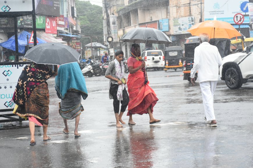 ನಿರಂತರ ಮಳೆಗೆ “ಕೊಡೆ”ಯಾಸರೆ