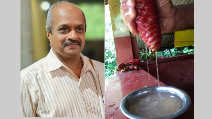(ಪ್ರಕೃತಿ) ಸಸ್ಯ ಶ್ಯಾಮಲೆ ಬಿಟ್ಟರ್ ಜಿಂಜರ್ ಶ್ಯಾಂಪು..!