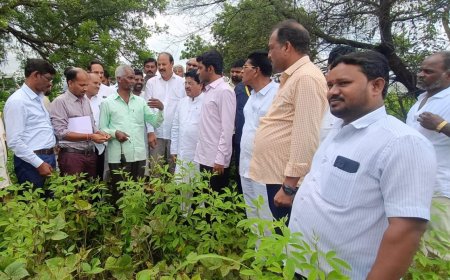 ಮಳೆಗೆ ಬೆಳೆ ಹಾನಿ: ಸಂಸದ ಸಾಗರ ಖಂಡ್ರೆ ಮಿಂಚಿನ ಸಂಚಾರ, ಪರಿಶೀಲನೆ