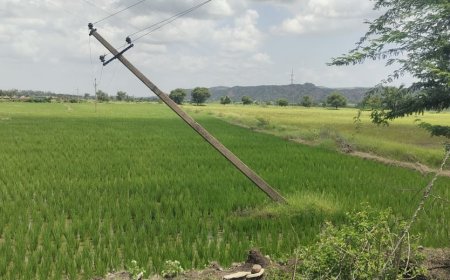 ವಿದ್ಯುತ್ ಕಂಬ ಸ್ಥಳಾಂತರಕ್ಕೆ : ರೈತ ಮುಖಂಡ ಕಾಂತು ಪಾಟೀಲ್ ಆಗ್ರಹ