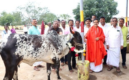 ಹಾರಕೂಡ ಶ್ರೀಗಳಿಂದ- ಗೋಮಾತೆಗೆ ಪೂಜೆ