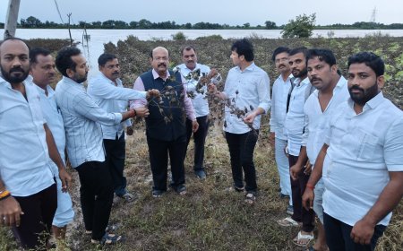 ಪ್ರವಾಹ ಪೀಡಿತ ಗ್ರಾಮಗಳಿಗೆ ಮಾಜಿ ಸಂಸದ ಡಾ.ಉಮೇಶ ಜಾಧವ್ ಭೇಟಿ