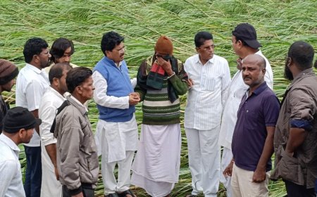 ಶಾದಿಪೂರ್ ಭಾಗದ ರೈತರ ಬೆಳೆ ನಷ್ಟಕ್ಕೆ ಪ್ರಕೃತಿವಷ್ಟೇ ಕಾರಣ ಅಲ್ಲ. ಮಾಜಿ ಶಾಸಕ ಡಾ. ಉಮೇಶ ಜಾಧವ್ ಹಾಗೂ ಹಾಲಿ ಶಾಸಕ ಡಾ. ಅವಿನಾಶ ಜಾಧವ ಕಾರಣ : ಸುಭಾಷ ರಾಠೋಡ ಆರೋಪ