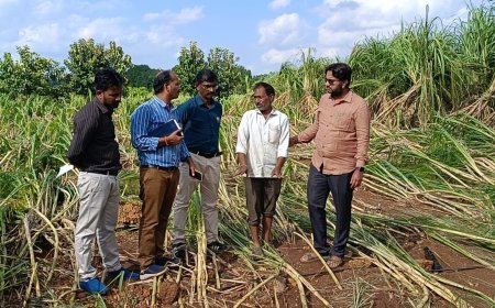 ಪ್ರವಾಹ ಪೀಡಿತ ಚಿಂಚೋಳಿ ಪ್ರದೇಶಕ್ಕೆ ಶಾಸಕ ಡಾ. ಅವಿನಾಶ ಜಾಧವ ಭೇಟಿ – ಸಿಎಂ ವಿಶೇಷ ಪ್ಯಾಕೇಜ್ ಘೋಷಿಸಲು ಮನವಿ*