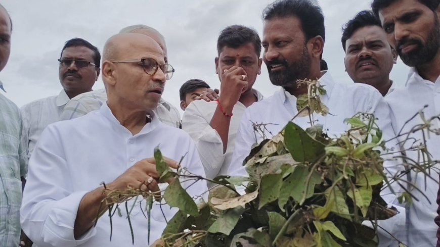 ಮುಧೋಳ, ಆಡಕಿ ಗ್ರಾಮಗಳ ಅತಿವೃಷ್ಟಿ ಬೆಳೆ ಹಾನಿ ಪರಿಶೀಲನೆ ನಡೆಸಿದ ಡಾ.ಶರಣಪ್ರಕಾಶ ಪಾಟೀಲ