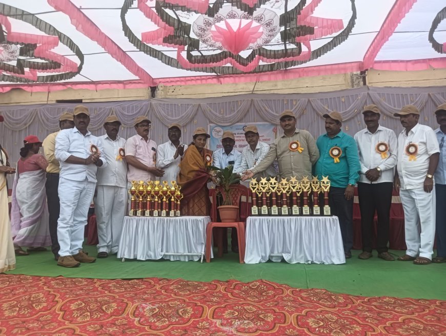 ಆಳಂದ || ತಾಲೂಕ ಮಟ್ಟದ ಕ್ರೀಡಾಕೂಟಕ್ಕೆ ಭರ್ಜರಿ ಚಾಲನೆ